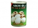 AroyD* QUAIL EGGS 24*15z