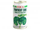 Foco* PENNYWORTH LEAVE DRINK 24*11.8 fl oz