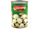 Lamthong* QUAIL EGG 24*15z