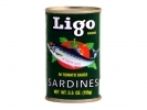Ligo* REG S.AFR. SARDINE 100*5.5z