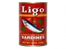 Ligo* (L) Sardine - Hot 48*15z