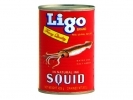 Ligo* (L) SQUID 48*15z