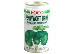 Foco* PENNYWORTH LEAVE DRINK 24*11.8 fl oz