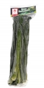 FW* Frz < Vietnam > Pandan Leaf < La Dua > 50*7oz