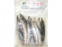 Sonoca*Frz Whole Layang Scad 30lbs