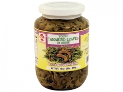 FW* (S) TAMARIND LEAF 24*16z