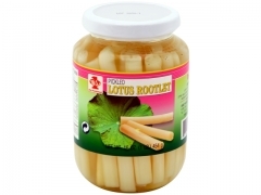 FW* LOTUS ROOTLET 24*16z