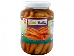 FW* RHIZOME < KRA CHAI > 24*16z