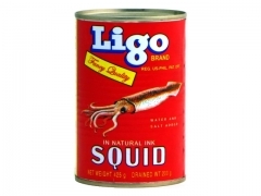 Ligo* (L) SQUID 48*15z