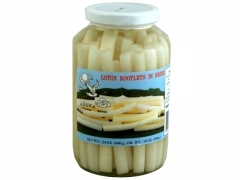 Asuka* < L > LOTUS ROOTLET 12*24z