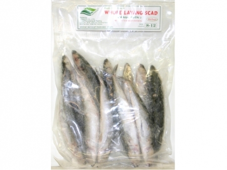 Sonoca*Frz Whole Layang Scad 30lbs