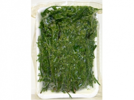 MegaSun* Frz Sadao 50*8z