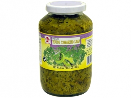 FW* (L) TAMARIND LEAF 12*24z