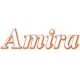 AMIRA